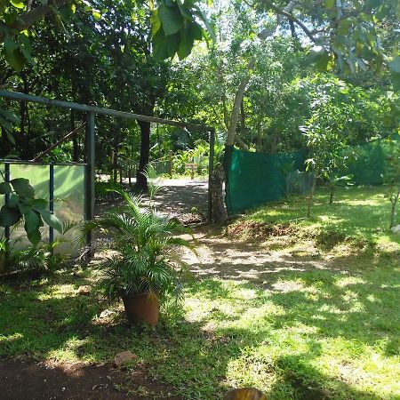 Cabinas Jojola Hotel Guanacaste Esterno foto