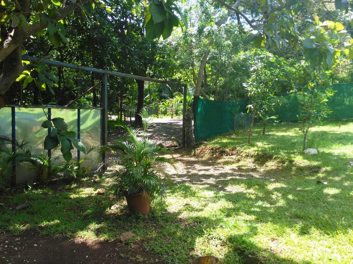 Cabinas Jojola Hotel Guanacaste Esterno foto